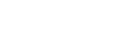 Apple Inc